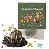 10x 'Waldtiere' Samenbomben Kindergeburtstag / Waldtiere Mitgebsel Waldtieregeburtstag / Geschenke Kindergeburtstag Mitgebsel Kindergeburtstag Waldtiere / Samenbomben Mitgebsel / Saatbomben Kinder