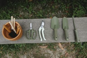 Top view of row of scissors secateurs shovels and tools for loosening soil near pot with instruments on wooden bench in garden